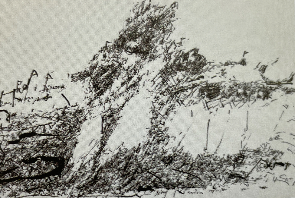 Procession in Wooden collars