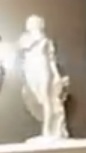 not identified
