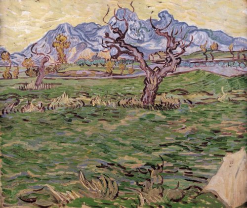 Landscape with Olive Tree and Mountains in the Background