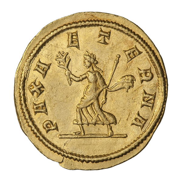 Ауреус. Карин