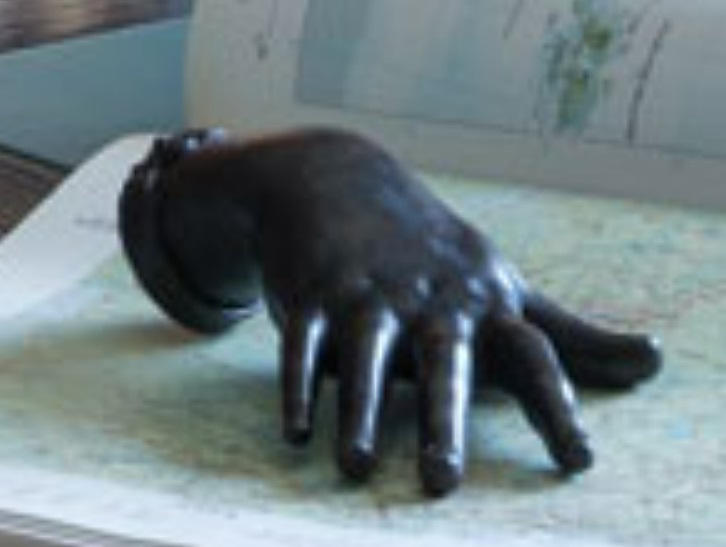 не ідентифіковано